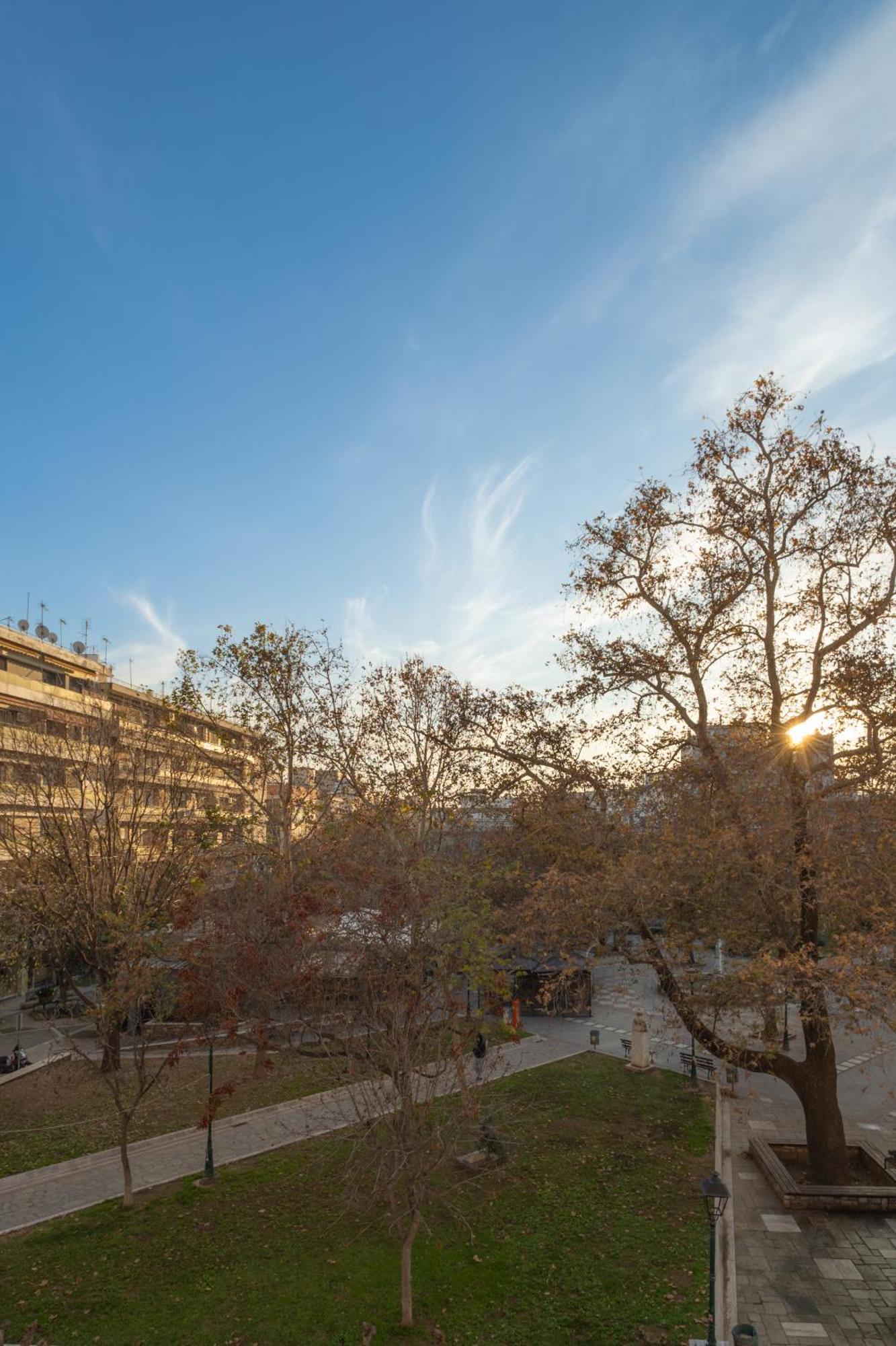 The Flat, Downtown * Волос